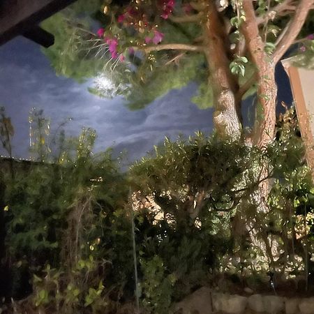 Studio Bandol Avec Jardin 외부 사진