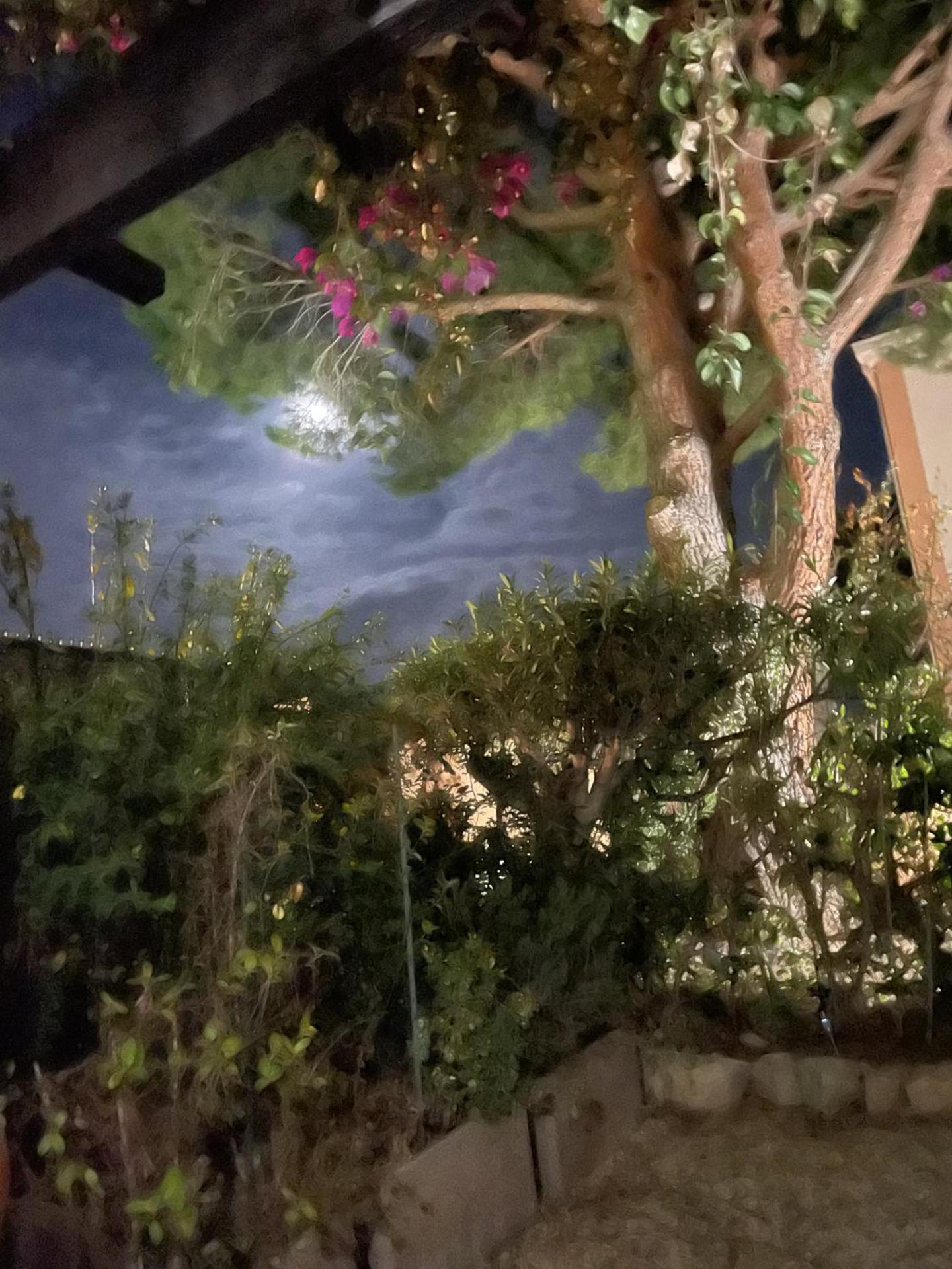 Studio Bandol Avec Jardin 외부 사진